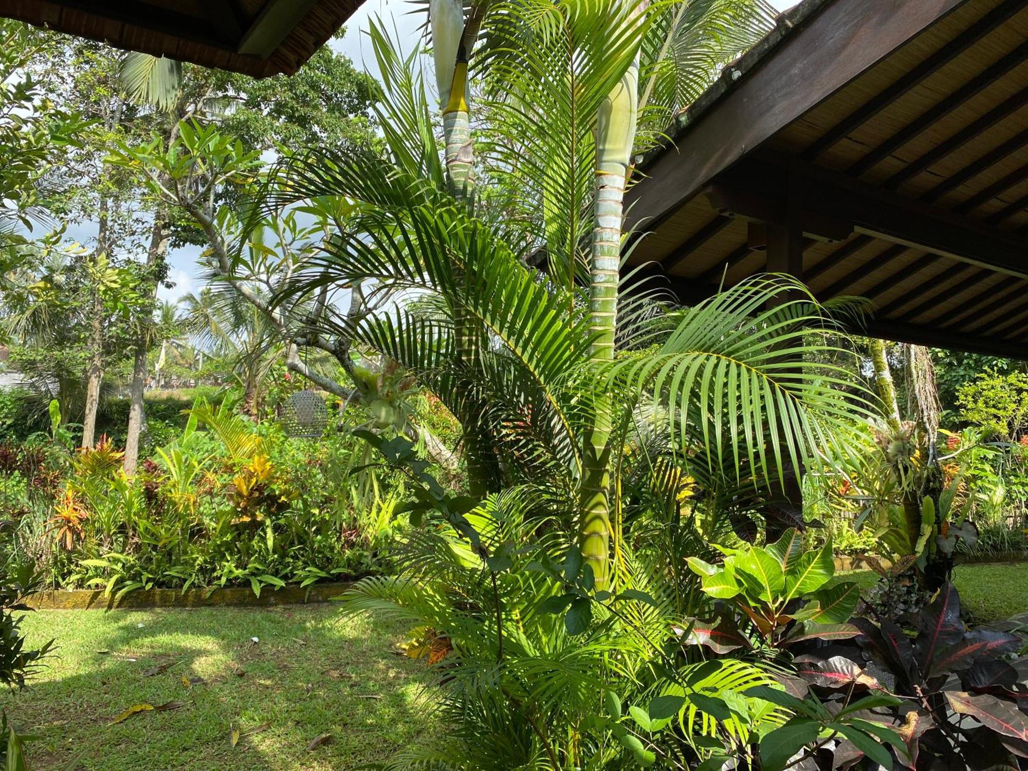 Villa Alam Surya Ubud Екстер'єр фото