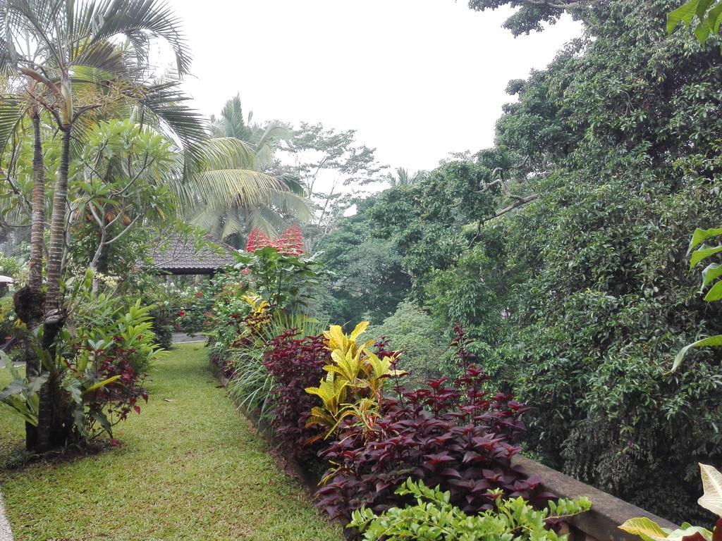 Villa Alam Surya Ubud Екстер'єр фото