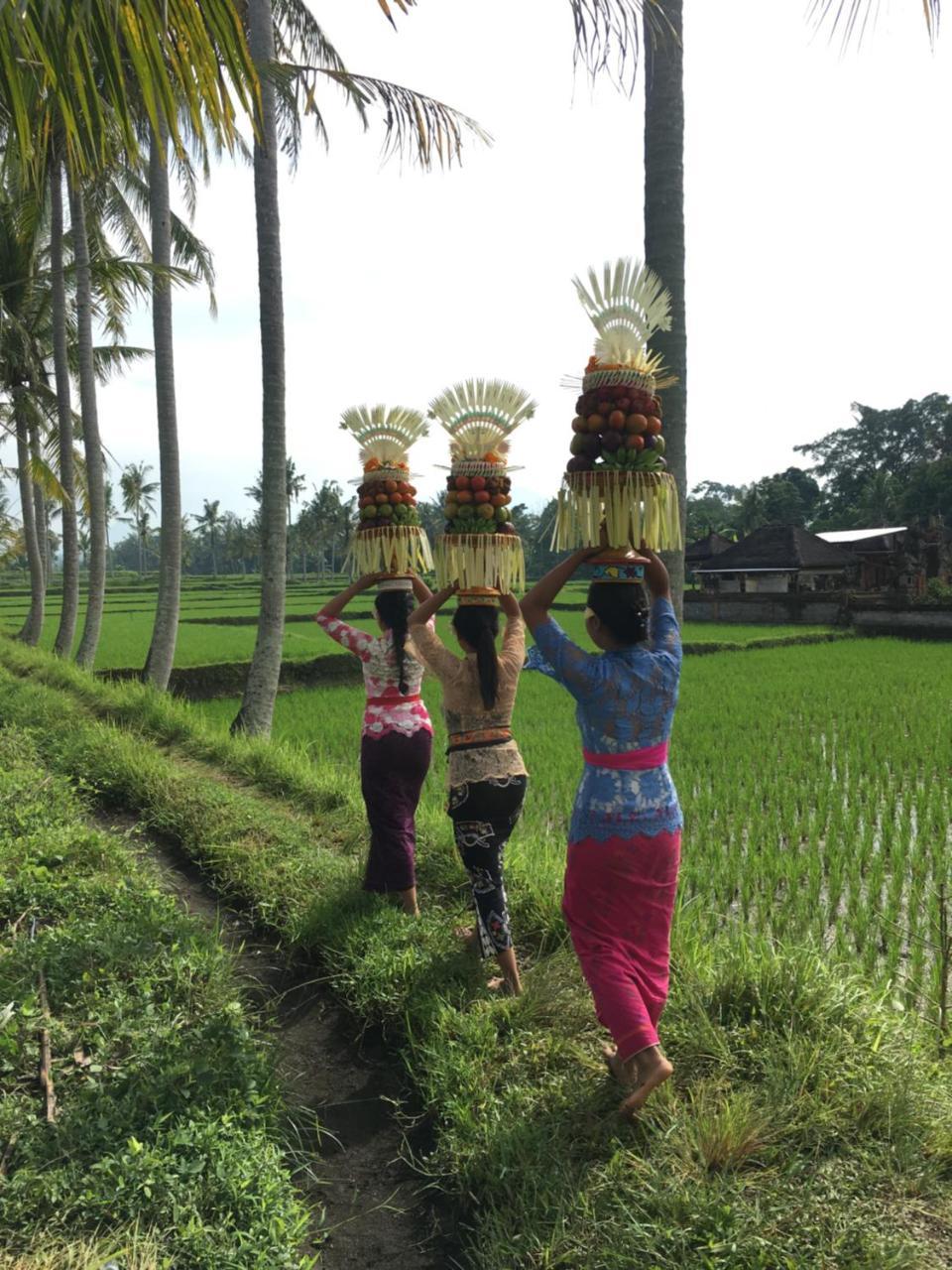 Villa Alam Surya Ubud Екстер'єр фото